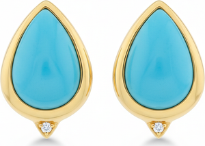 Firouzeh Turquoise Stud Earrings hero shot, detailed front view