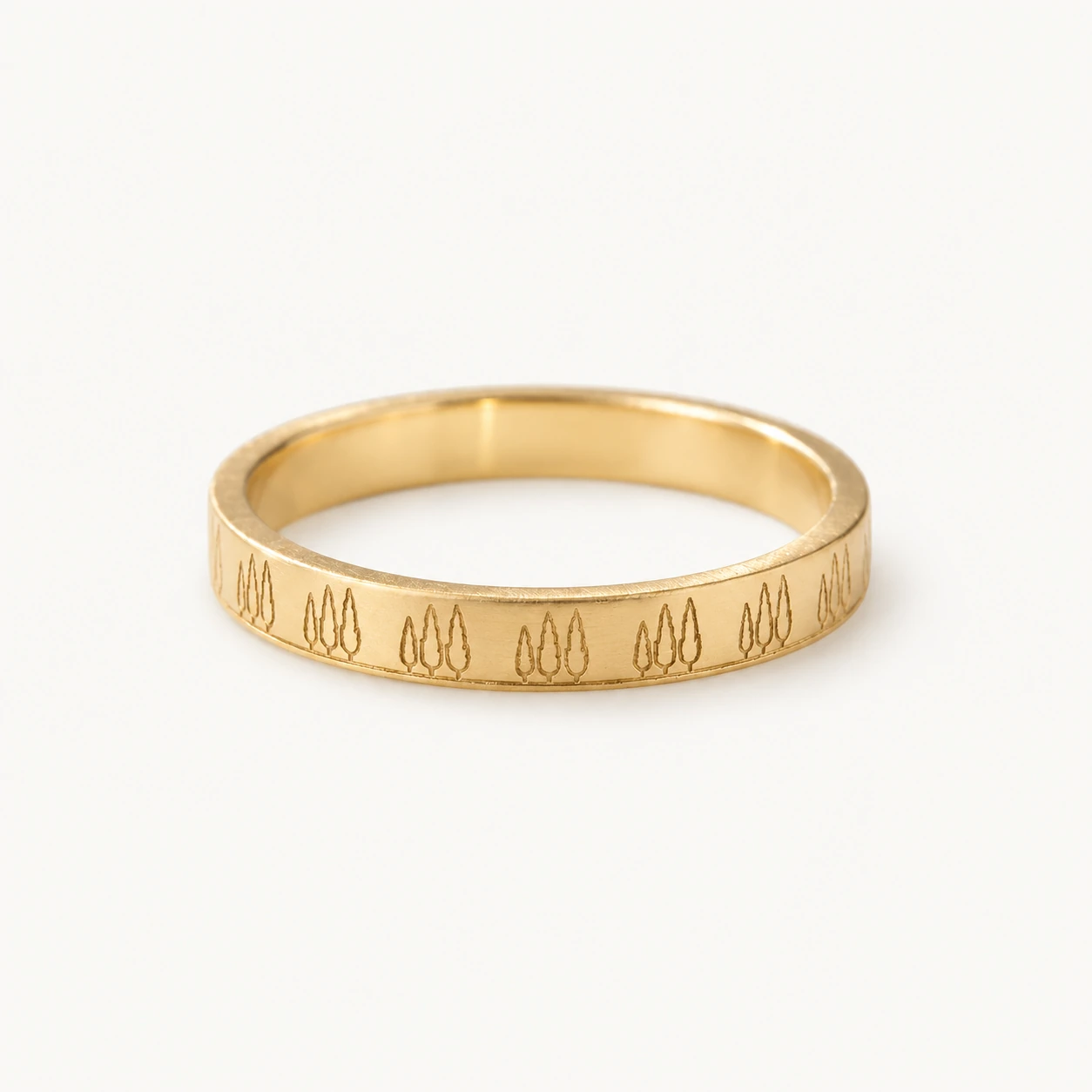 Sarv Stacking Band
