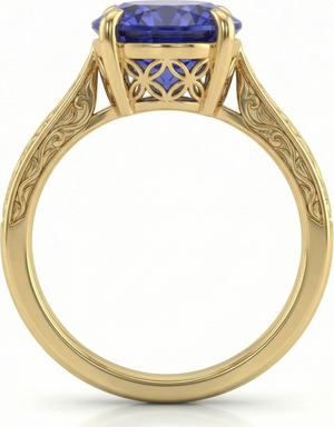 Shab-rang Ring - Angle view showing iwan arch claws