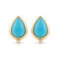 Firouzeh Turquoise Stud Earrings on white background, catalogue view