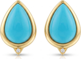 Firouzeh Turquoise Stud Earrings on white background, catalogue view